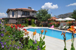 Beautiful 4-Bed Villa private pools